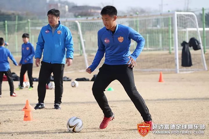 包含热身赛检验阵容，教练组观察效果的词条